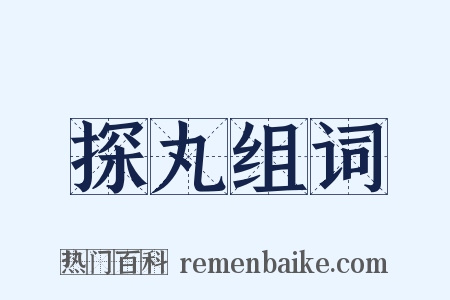 探丸组词是什么意思的图片